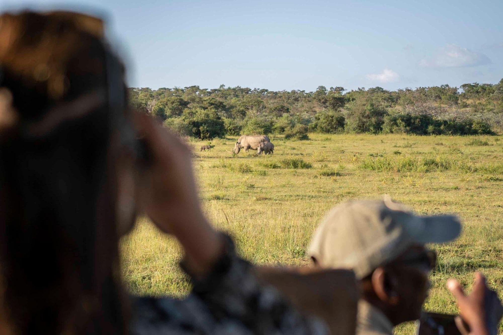 Tshwene Lodge Vaalwater Exteriér fotografie