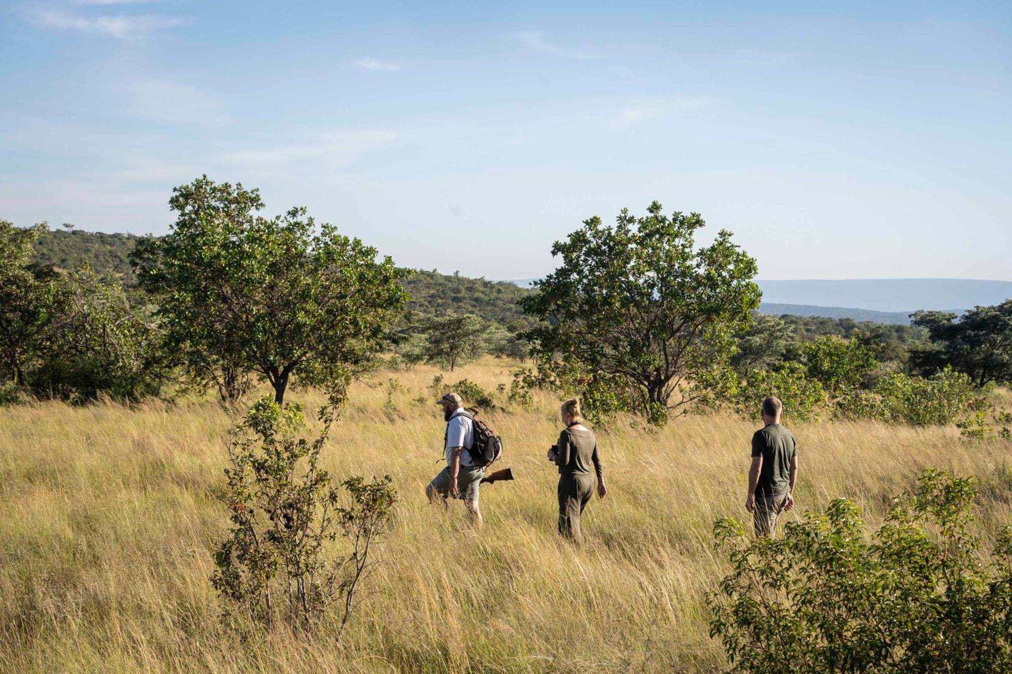 Tshwene Lodge Vaalwater Exteriér fotografie