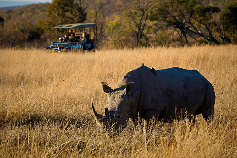Tshwene Lodge Vaalwater Exteriér fotografie
