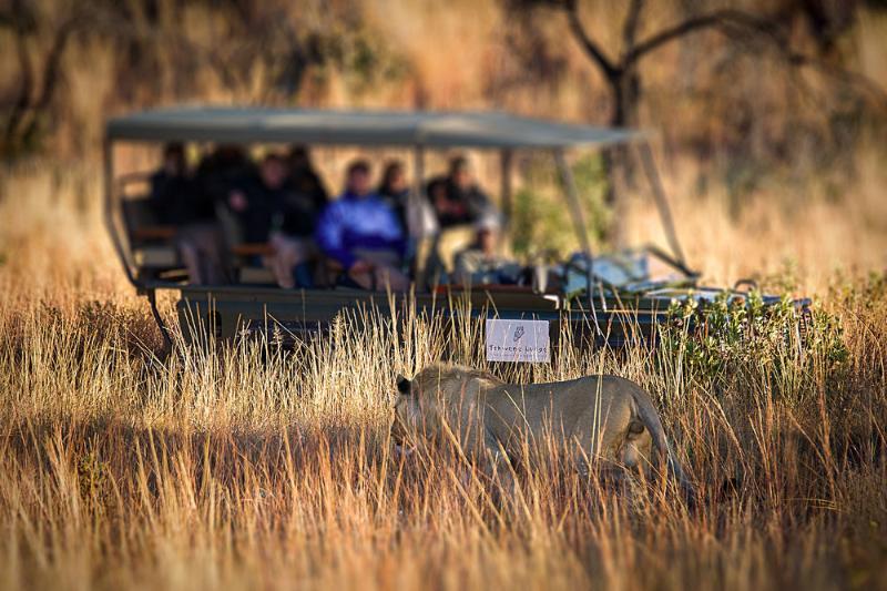 Tshwene Lodge Vaalwater Exteriér fotografie